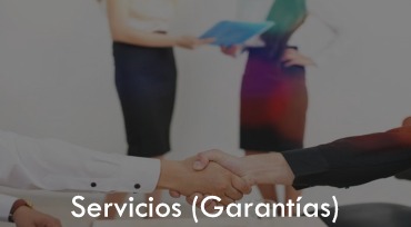 SERVICIOS (GARANTÍAS)