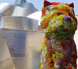 Socios Bizcaya, Cadena Estrella Azul