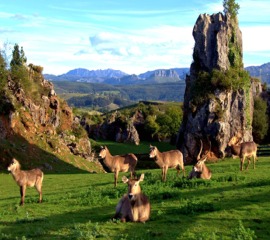 Socios Cantabria, Cadena Estrella Azul