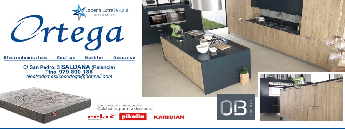 JAVIER ORTEGA VARELA 