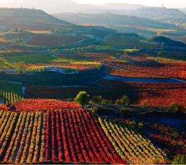Socios La Rioja, Cadena Estrella Azul